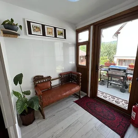 Casa Corina Lägenhet Vişeu de Sus