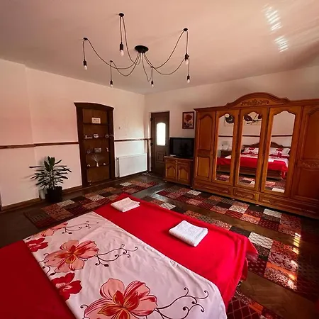Lägenhet Casa Corina Vişeu de Sus